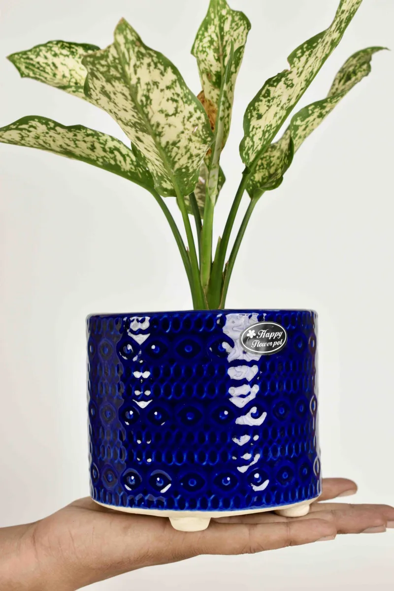 Classic Ceramic Planter — 5" Dia × 5" Height — Primary View