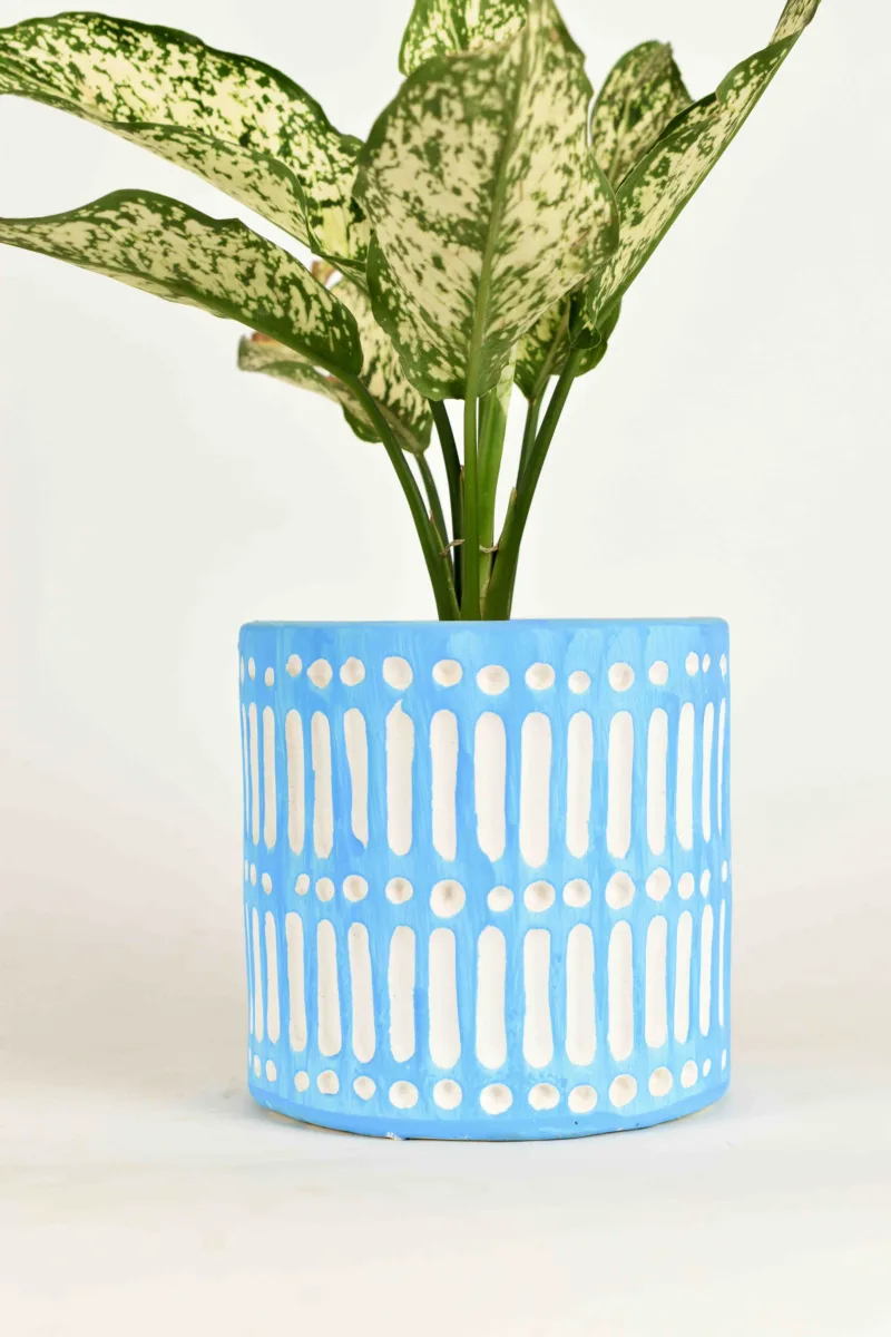 Classic Ceramic Planter — 5.5" Dia × 5" Height — Primary View