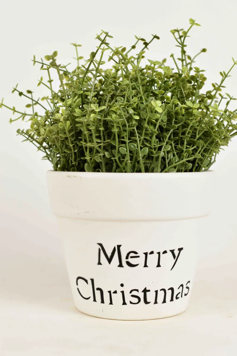 Classic Ceramic Planter — 4" Dia × 4" Height — Primary View