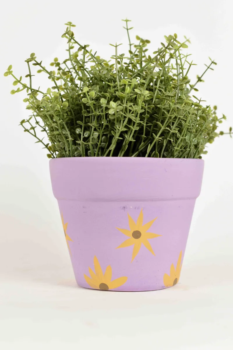 Classic Ceramic Planter — 5.5" Dia × 5" Height — Primary View