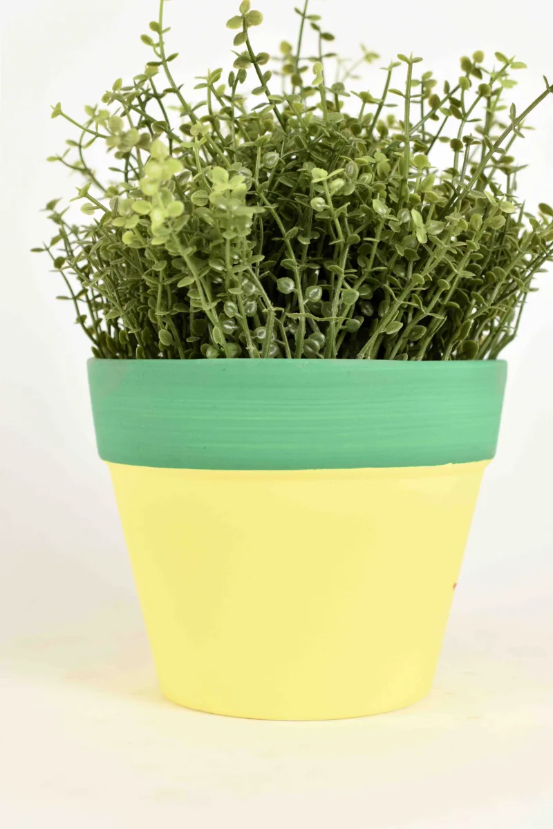 Classic Ceramic Planter — 4.5" Dia × 4" Height — Primary View