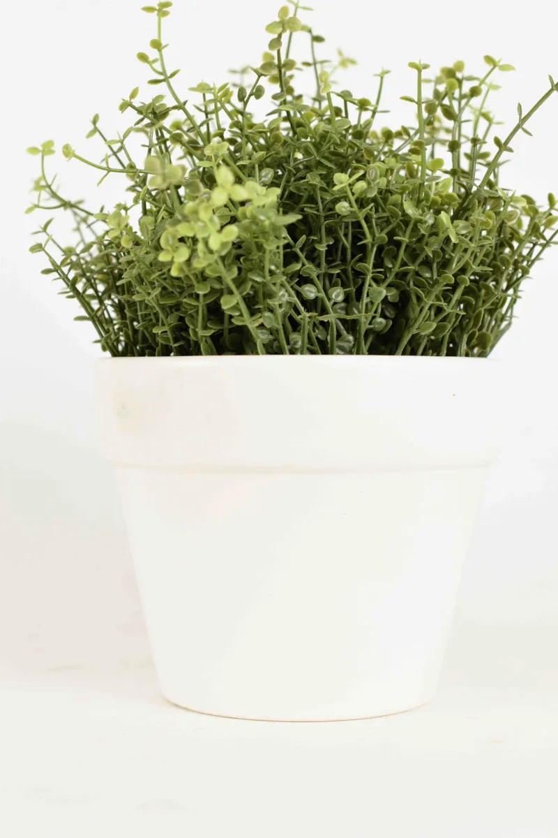 Classic Ceramic Planter — 5" Dia × 5" Height — Primary View