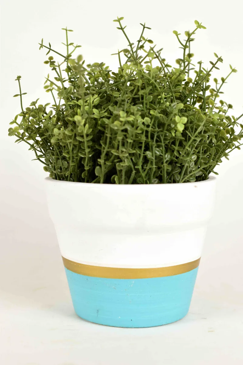 Classic Ceramic Planter — 5" Dia × 5" Height — Primary View