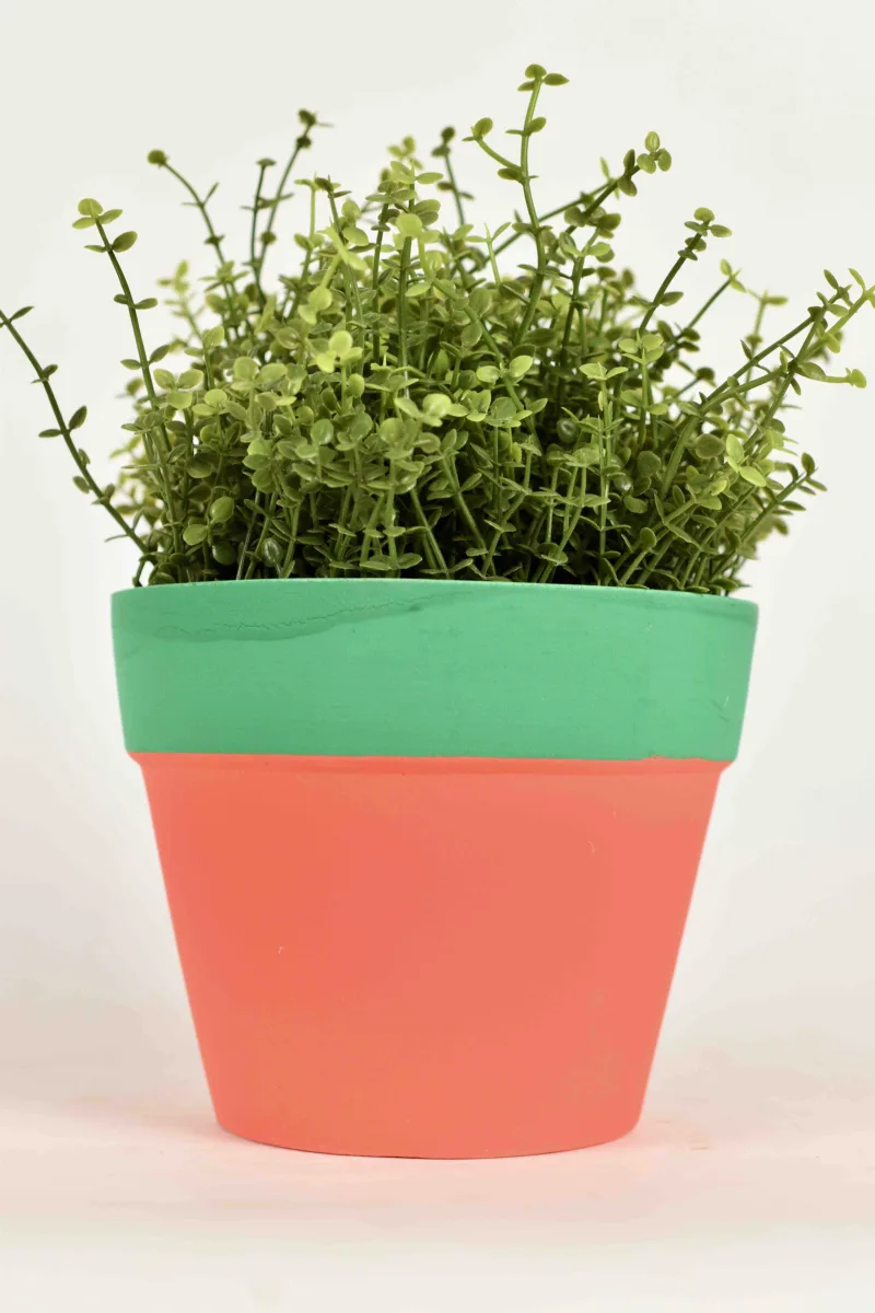 Classic Ceramic Planter — 5" Dia × 4" Height — Primary View