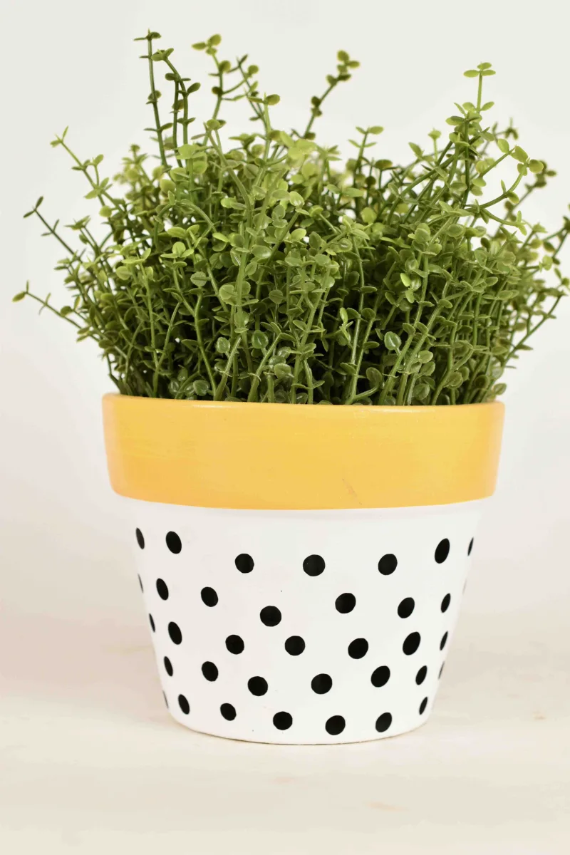 Classic Ceramic Planter — 5" Dia × 4" Height — Primary View
