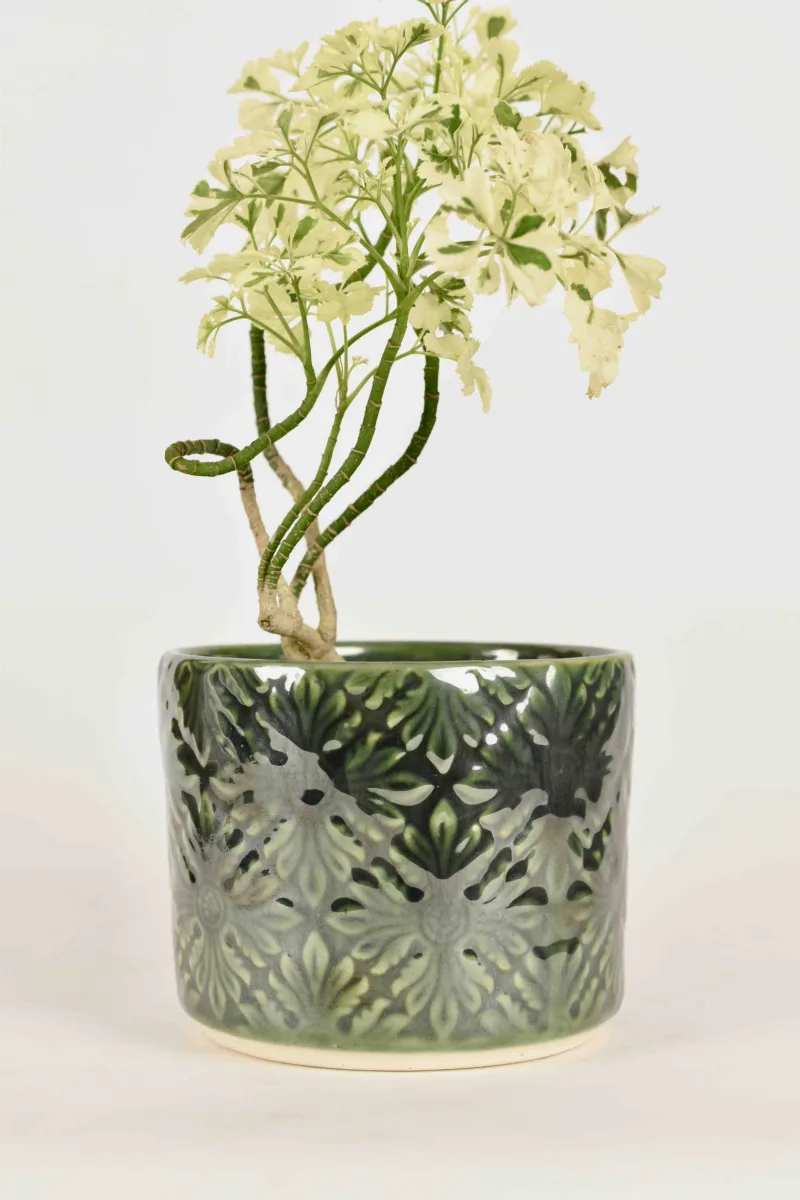 Classic Ceramic Planter — 5" Dia × 4" Height — Primary View