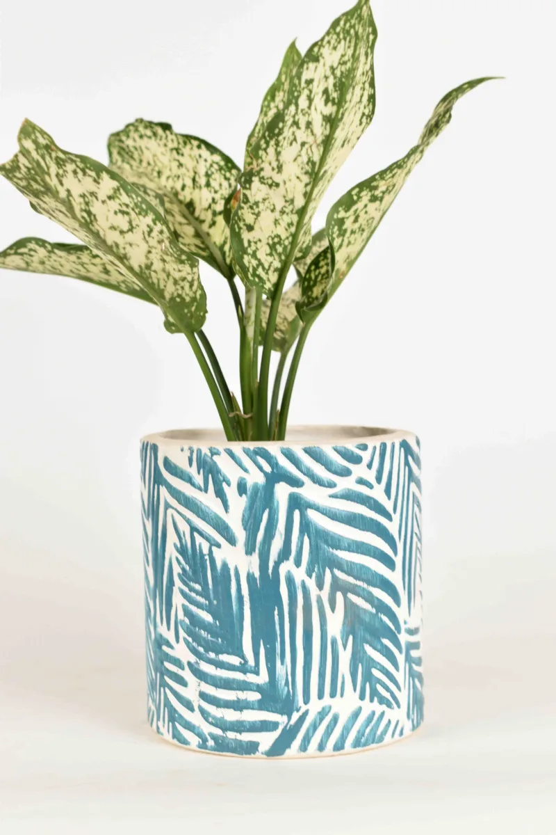 Classic Ceramic Planter — 5" Dia × 4" Height — Primary View