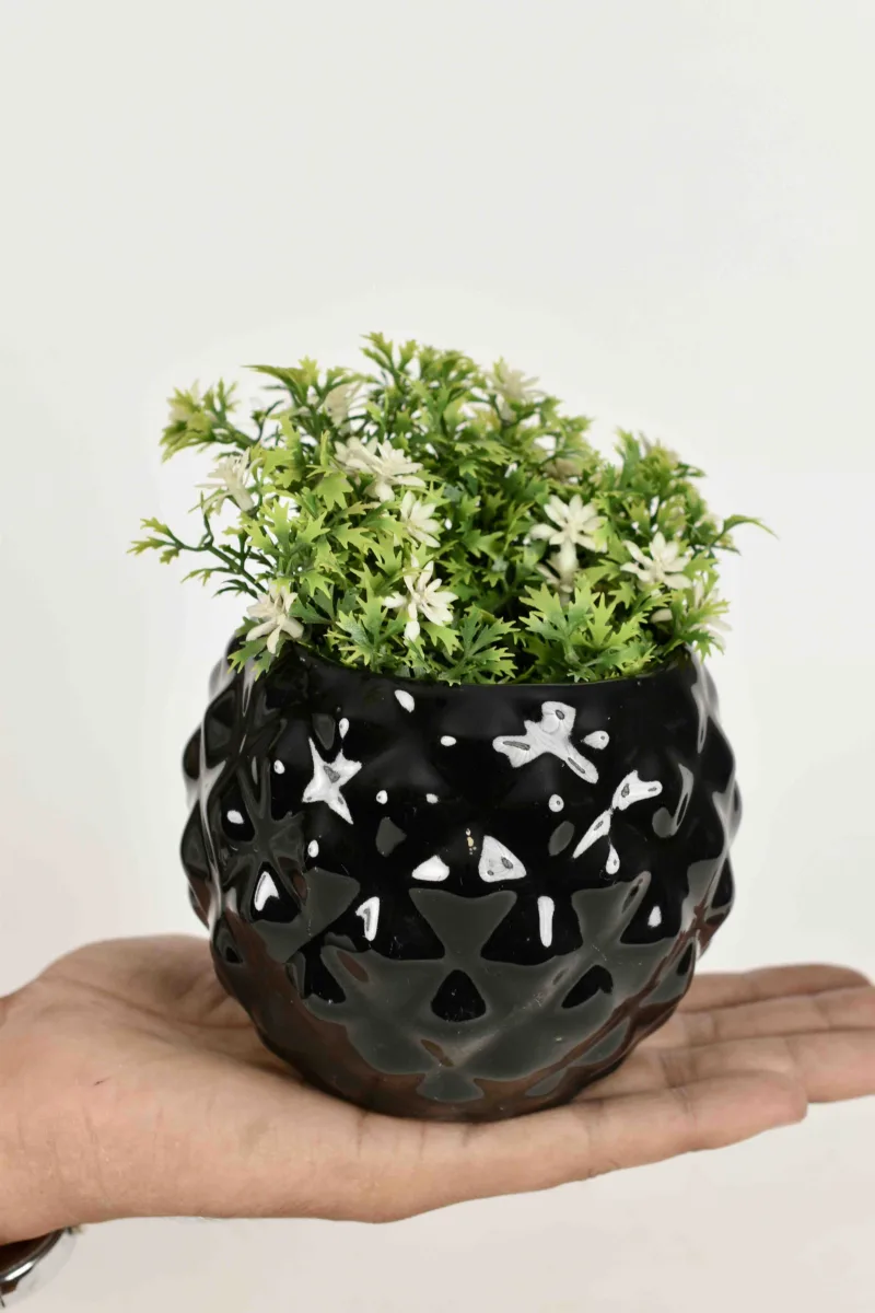 Classic Ceramic Planter — 5" Dia × 5.5" Height — Primary View