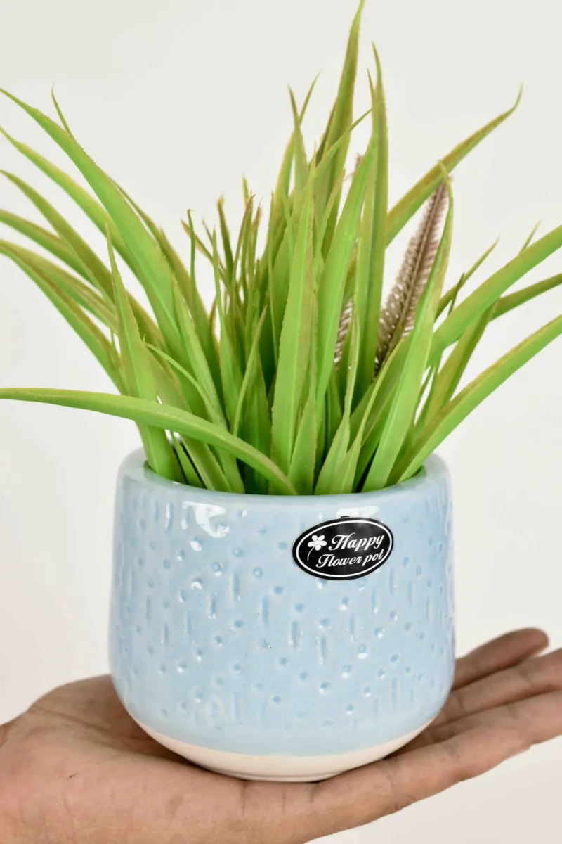 Classic Ceramic Planter — 5" Dia × 5.5" Height — Primary View