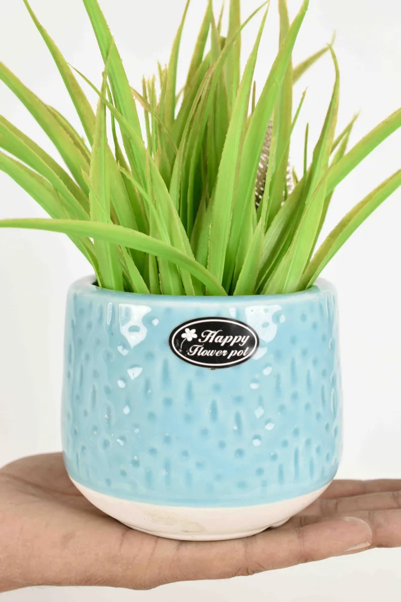Classic Ceramic Planter — 5" Dia × 4" Height — Primary View