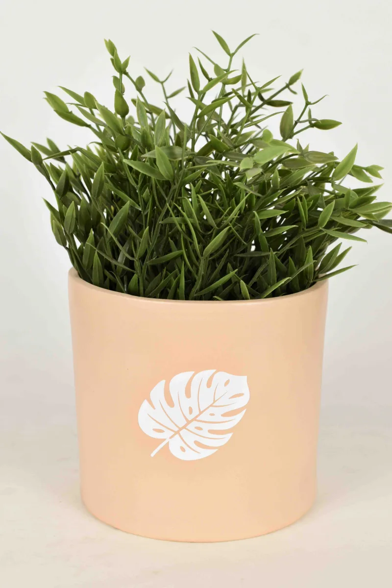 Classic Ceramic Planter — 5" Dia × 4" Height — Primary View