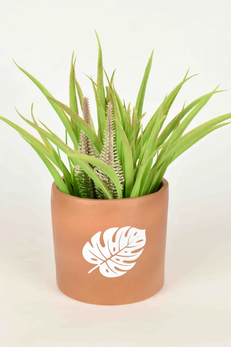Classic Ceramic Planter — 5" Dia × 5.5" Height — Primary View