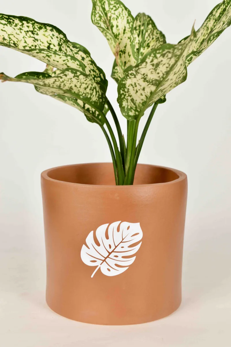 Classic Ceramic Planter — 4.5" Dia × 4" Height — Primary View