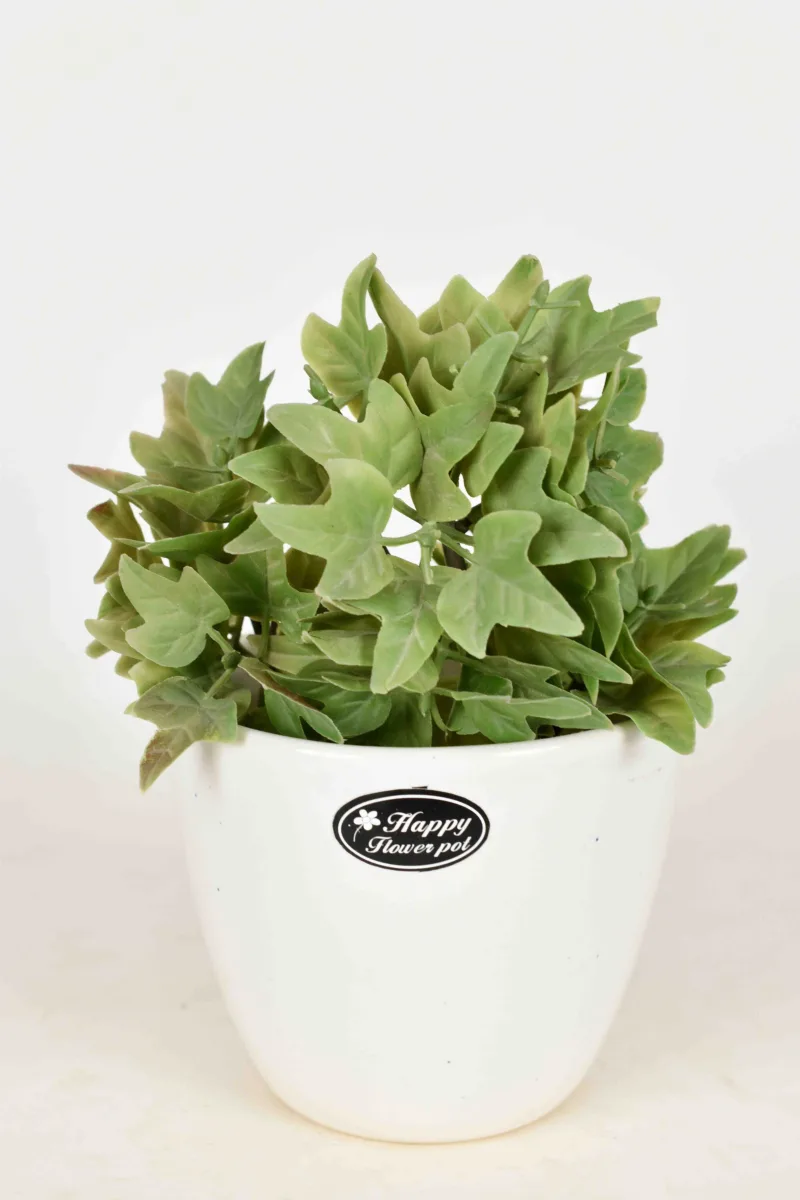 Classic Ceramic Planter — 5" Dia × 4" Height — Primary View