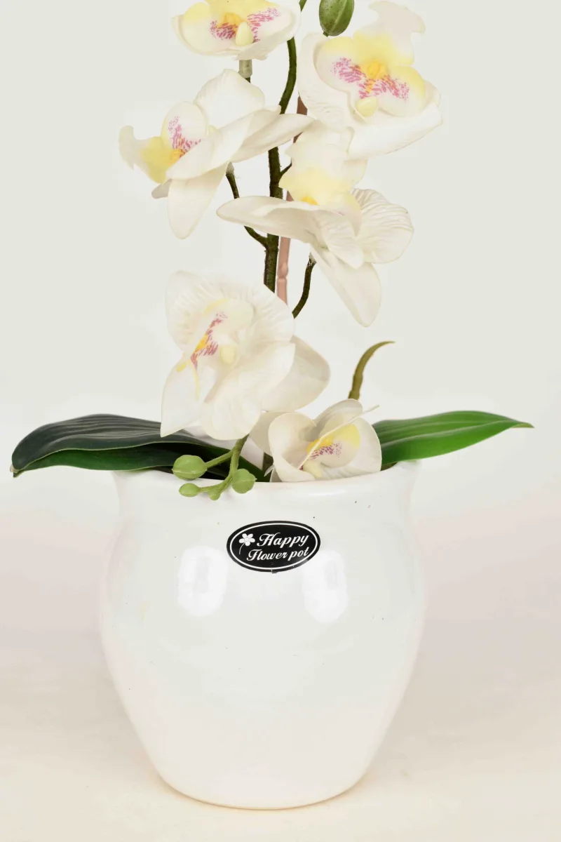 Classic Ceramic Planter — 4.5" Dia × 4" Height — Primary View