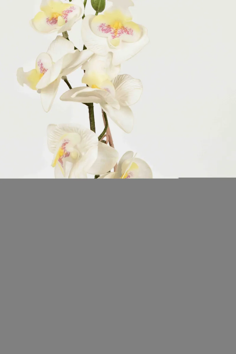 Classic Ceramic Planter — 6" Dia × 5.5" Height — Primary View
