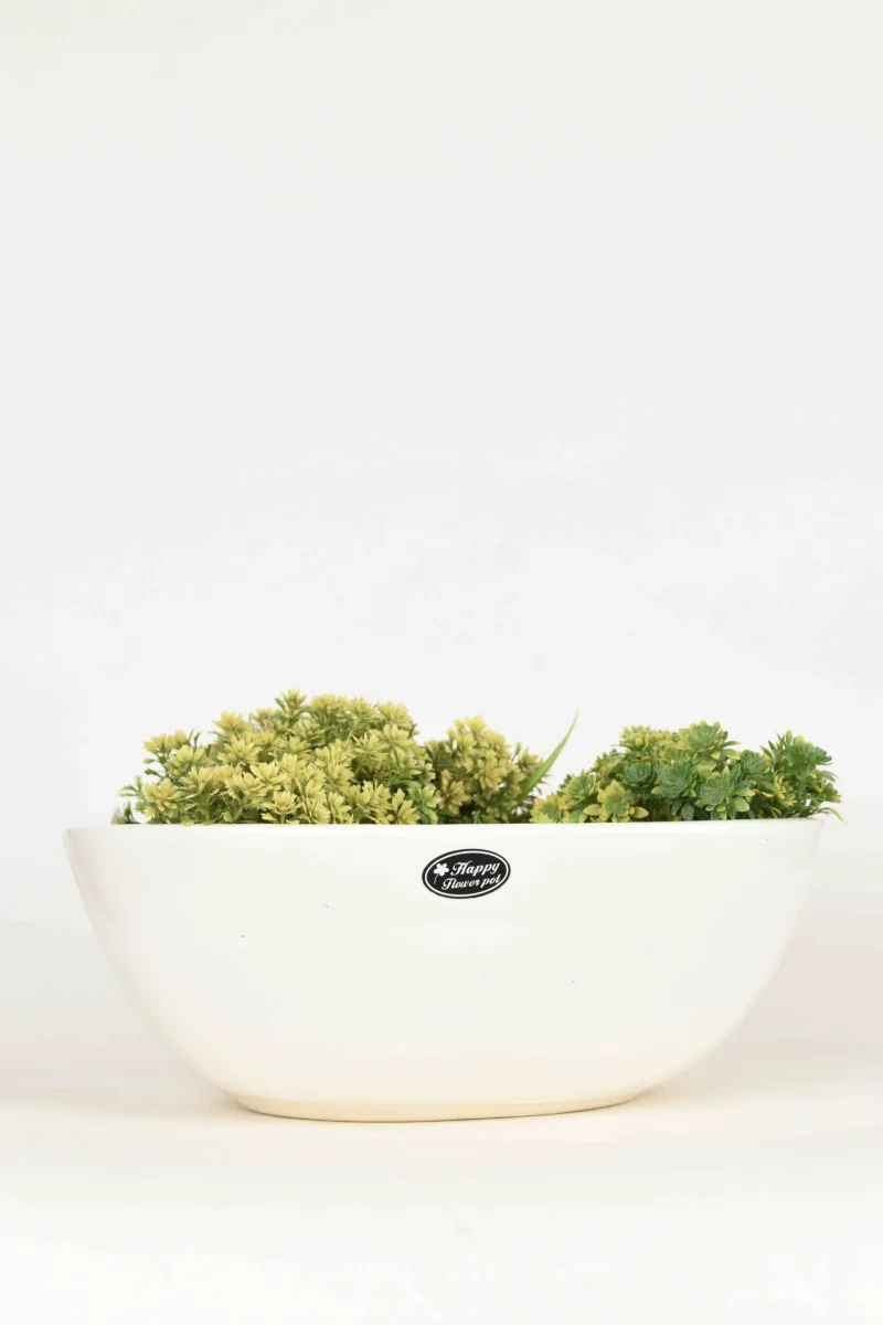 Classic Ceramic Planter — 4.5" Dia × 4" Height — Primary View