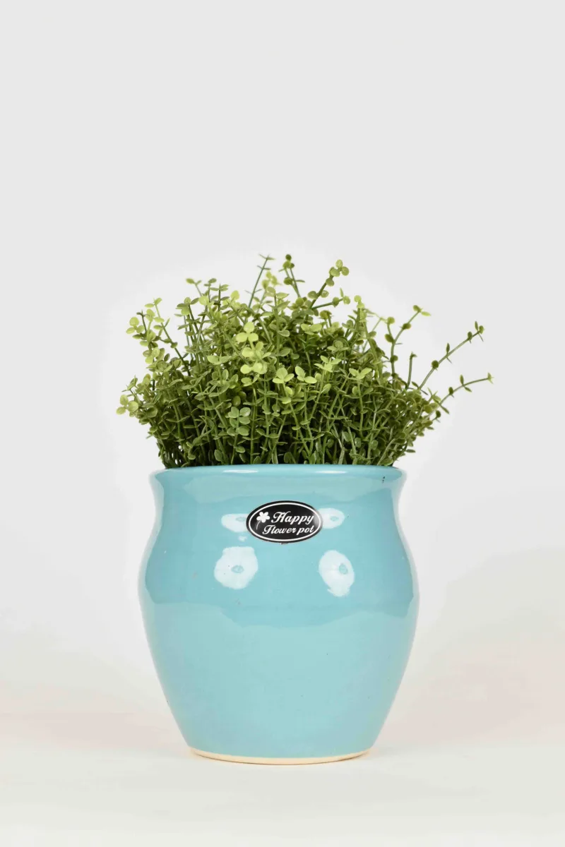 Classic Ceramic Planter — 4.5" Dia × 3" Height — Primary View