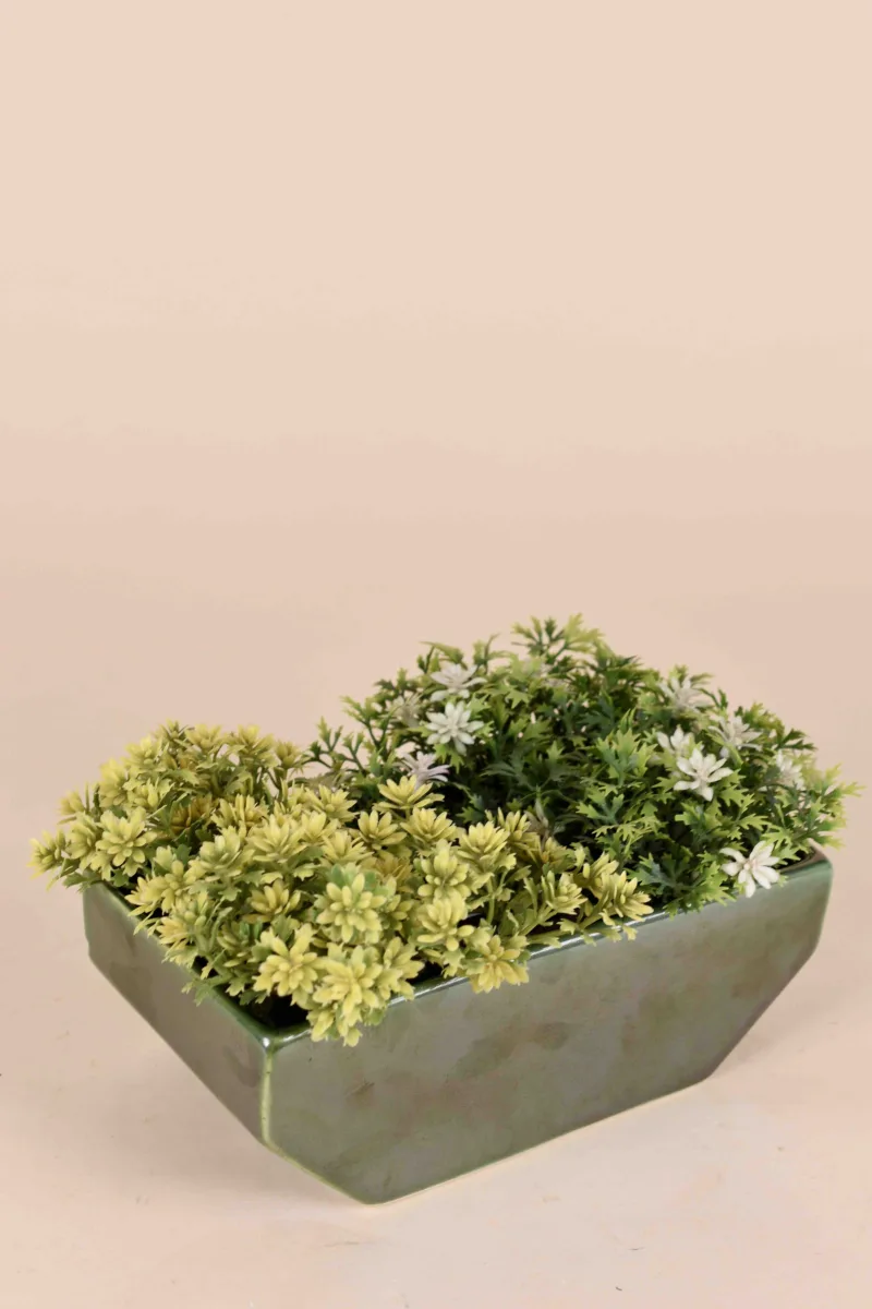 Classic Ceramic Planter — 5.5" Dia × 5" Height — Primary View