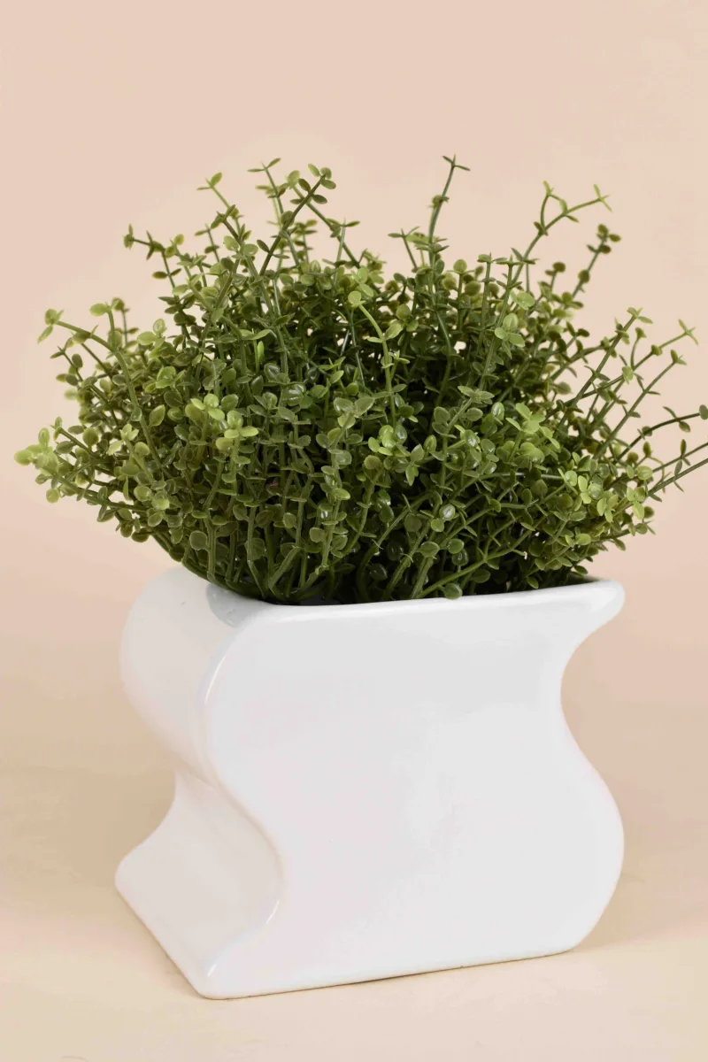 Classic Ceramic Planter — 5" Dia × 5" Height