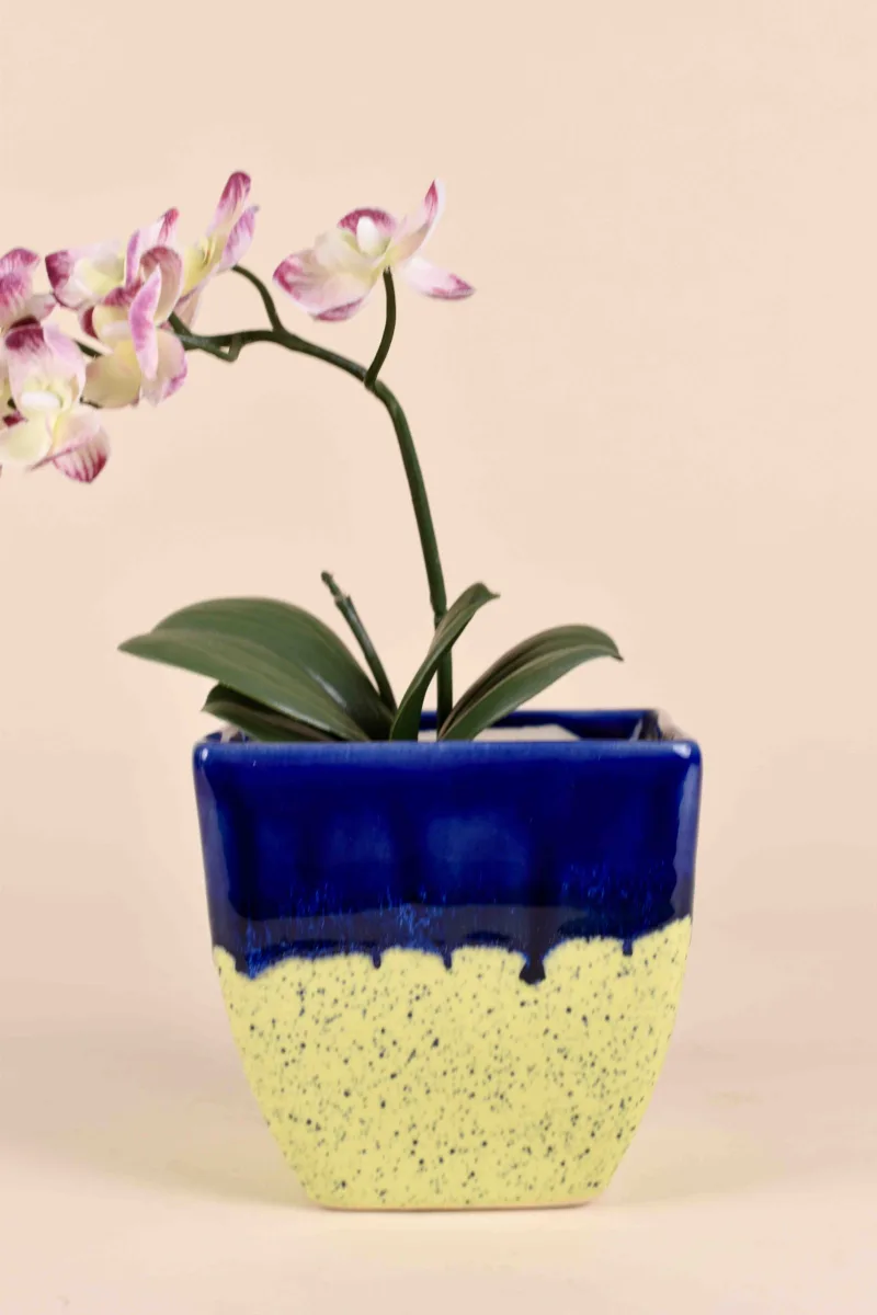 Classic Ceramic Planter — 4" Dia × 3.5" Height — Primary View