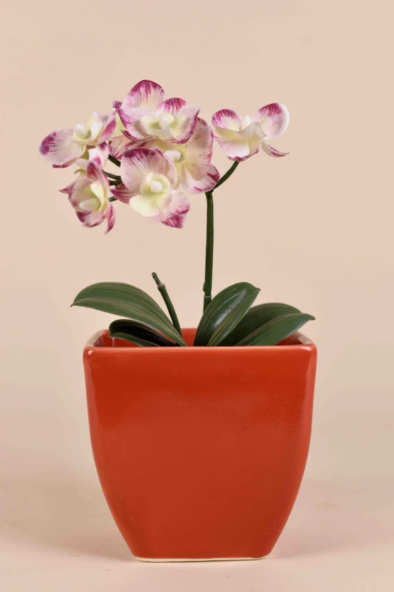 Classic Ceramic Planter — 5" Dia × 4" Height — Primary View