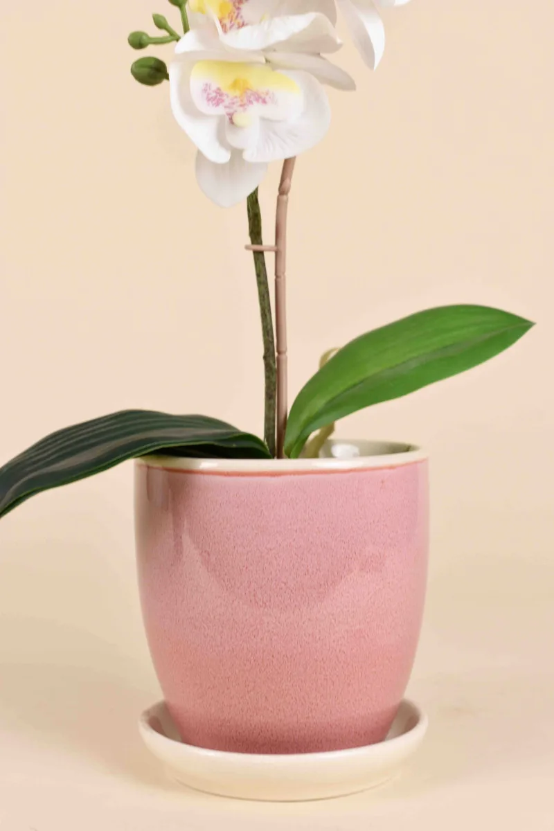 Classic Ceramic Planter — 5" Dia × 4" Height — Primary View