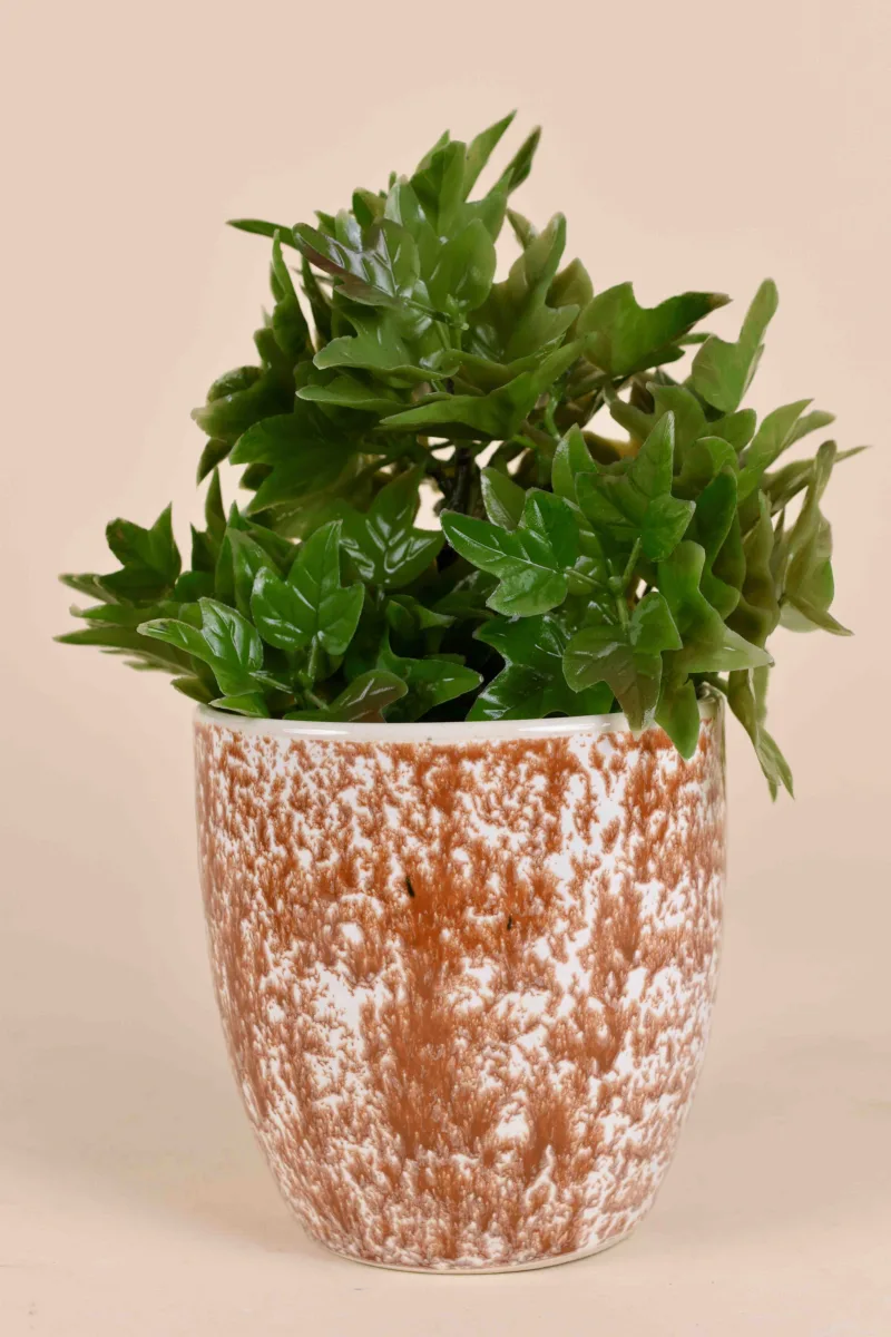 Classic Ceramic Planter — 4" Dia × 4" Height — Primary View