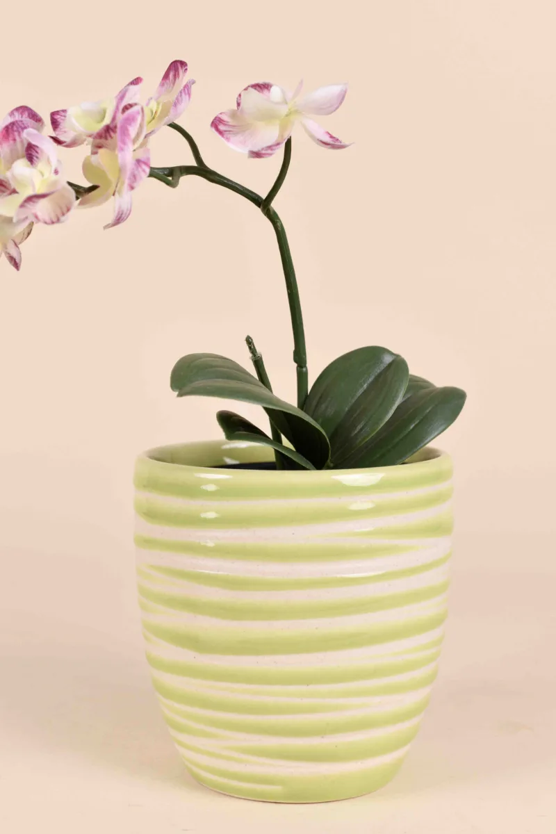 Classic Ceramic Planter — 4" Dia × 4.5" Height — Primary View