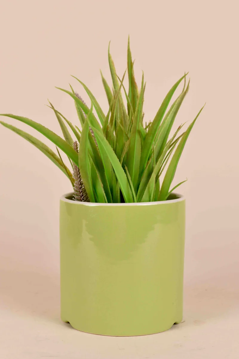 Classic Ceramic Planter — 4.5" Dia × 4.5" Height — Primary View