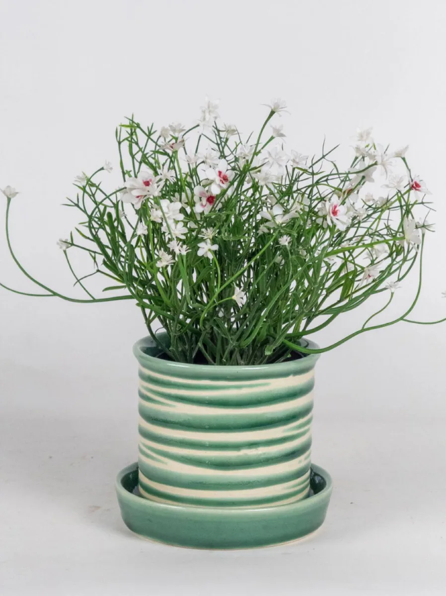 Classic Ceramic Planter — 4" Dia × 4" Height — Primary View