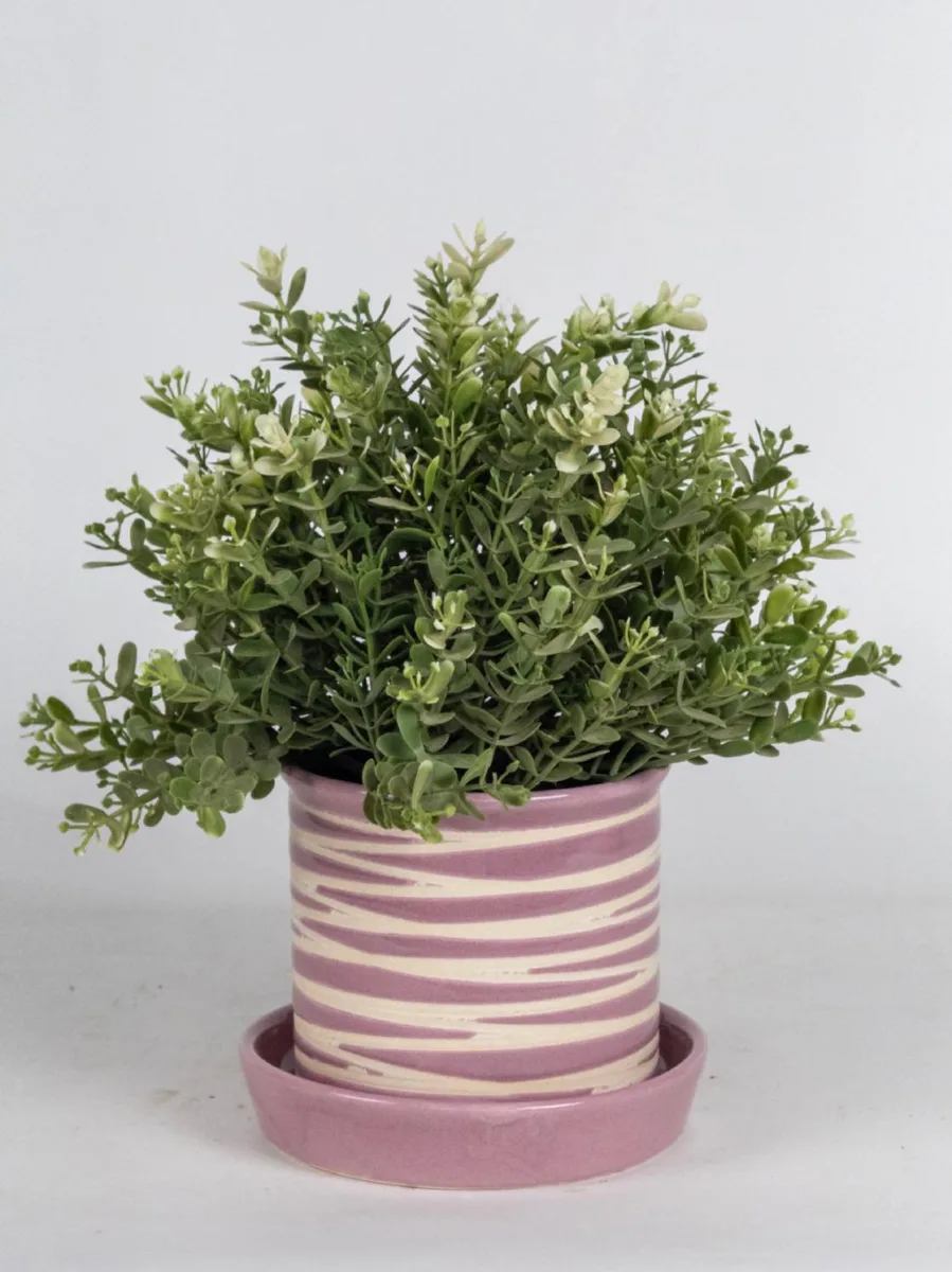 Classic Ceramic Planter — 4" Dia × 4" Height — Primary View