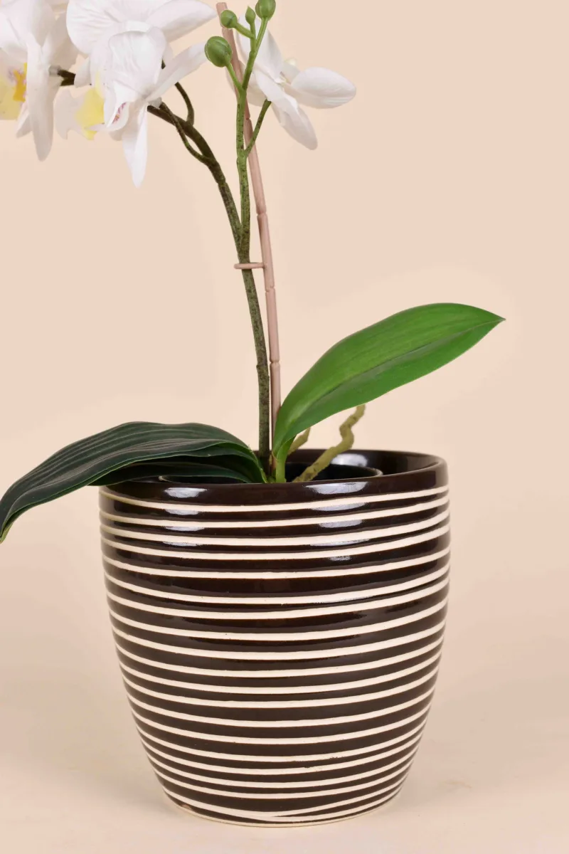 Classic Ceramic Planter — 6" Dia × 5.5" Height — Primary View