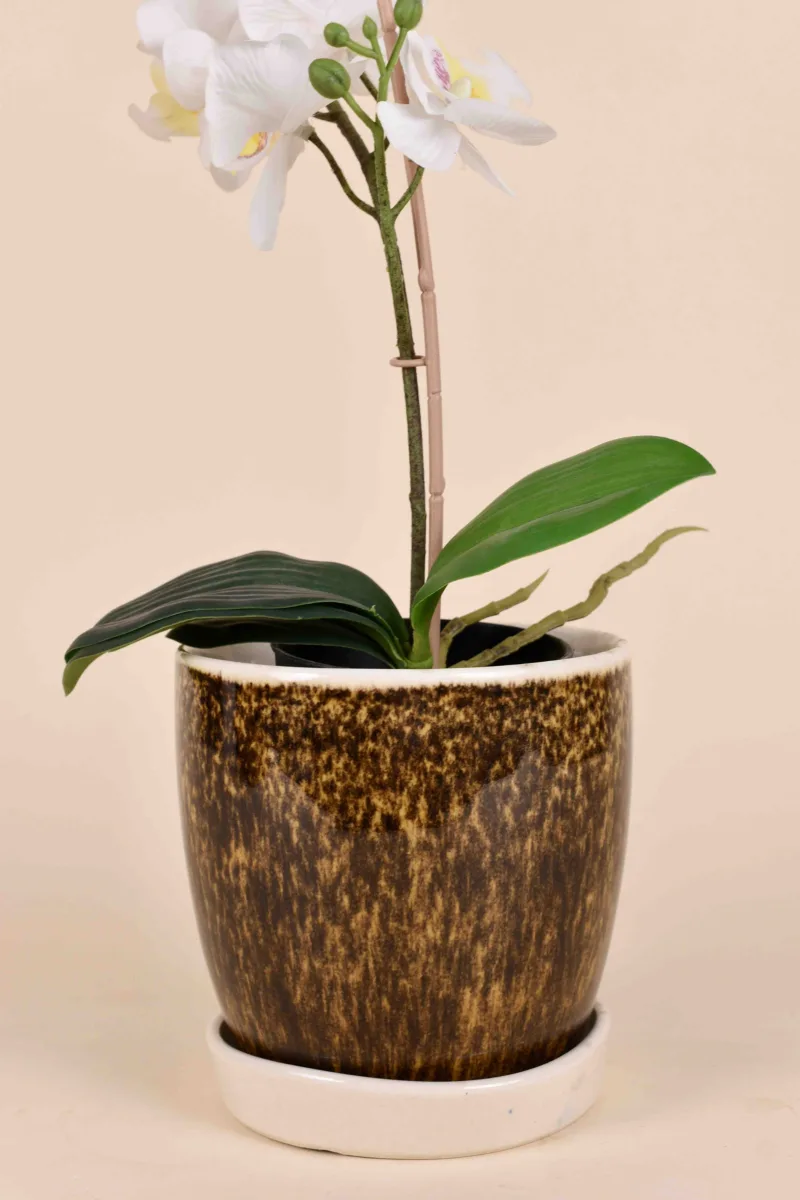 Classic Ceramic Planter — 6" Dia × 6" Height — Primary View
