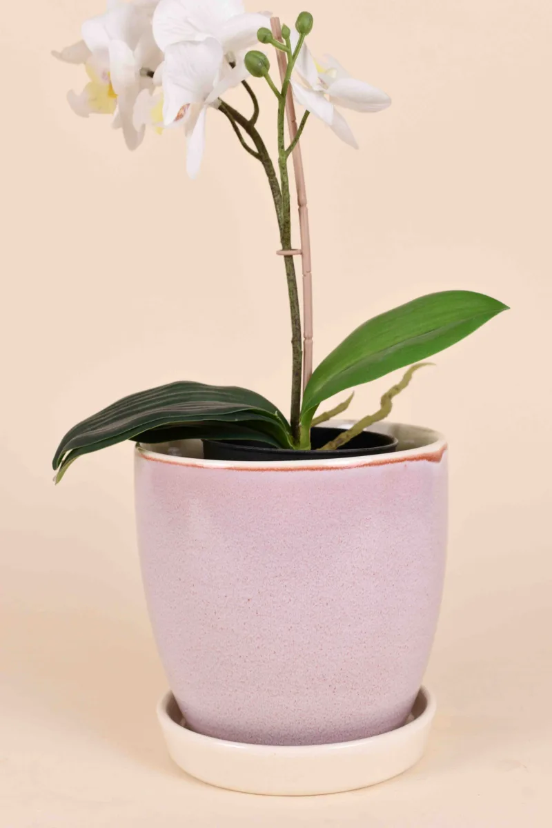 Classic Ceramic Planter — 6" Dia × 6" Height — Primary View