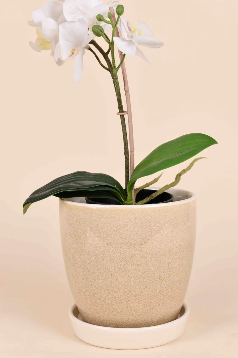 Classic Ceramic Planter Set of 2 (2" Dia) — Primary View