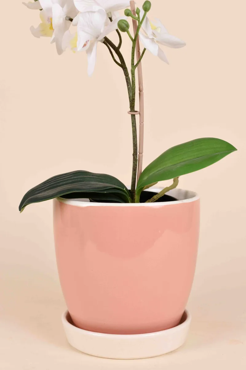 Classic Ceramic Planter Set of 2 (2" Dia) — Primary View