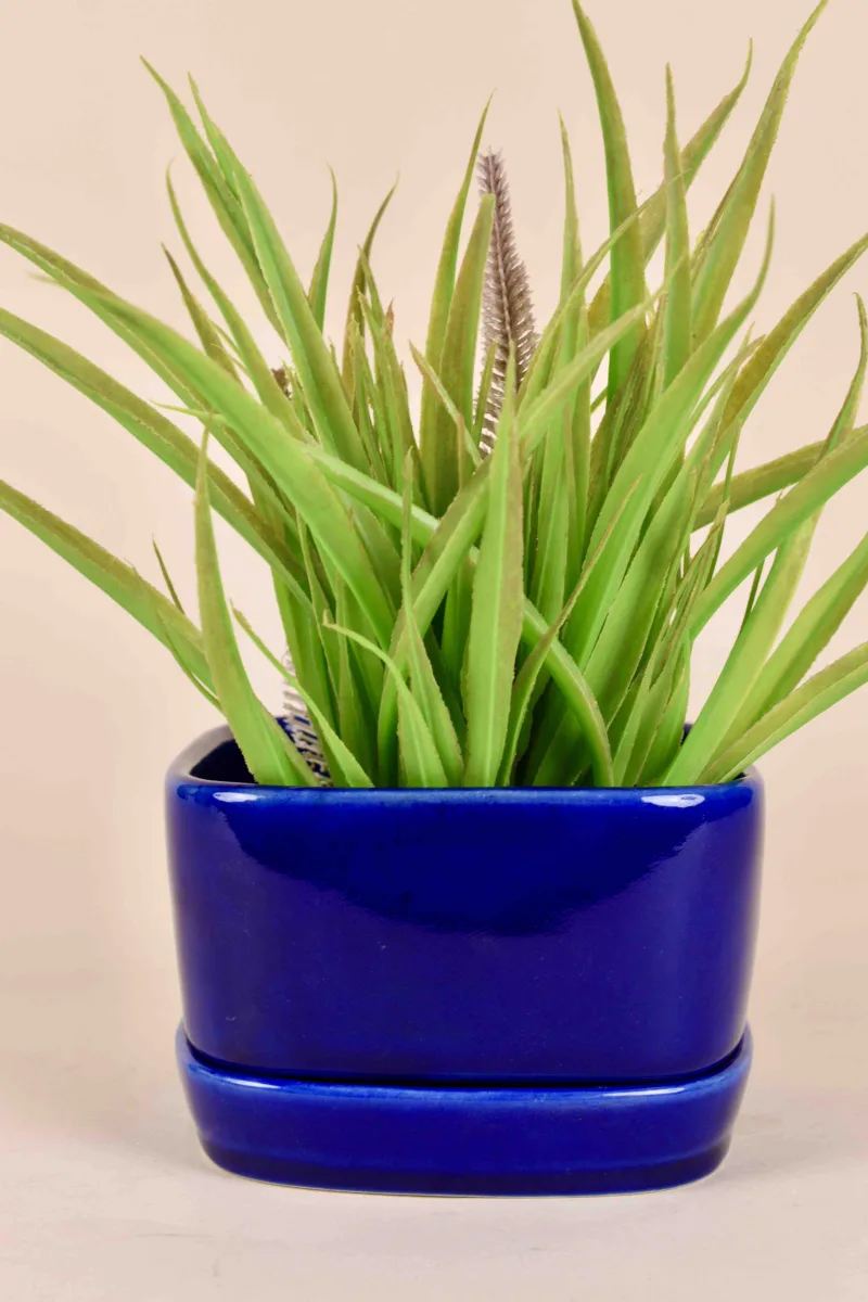 Classic Ceramic Planter — 6" Dia × 6" Height — Primary View
