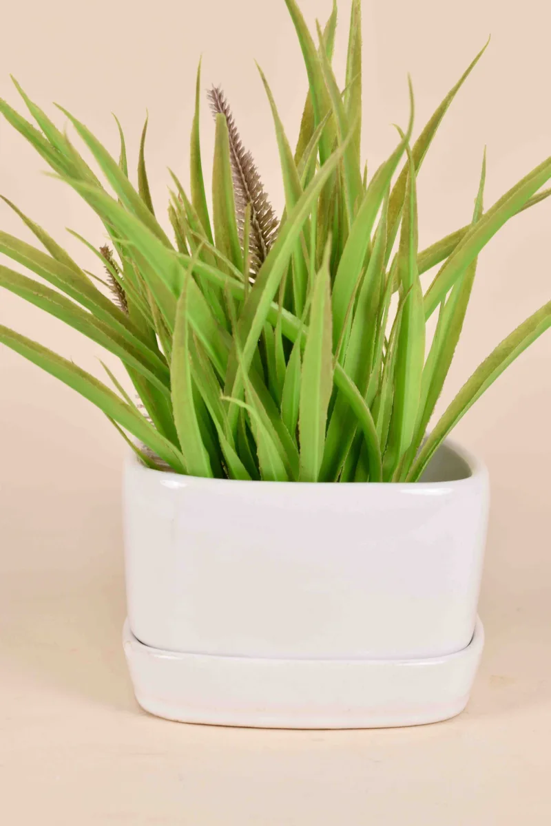 Classic Ceramic Planter — 4.5" Dia × 5" Height — Primary View