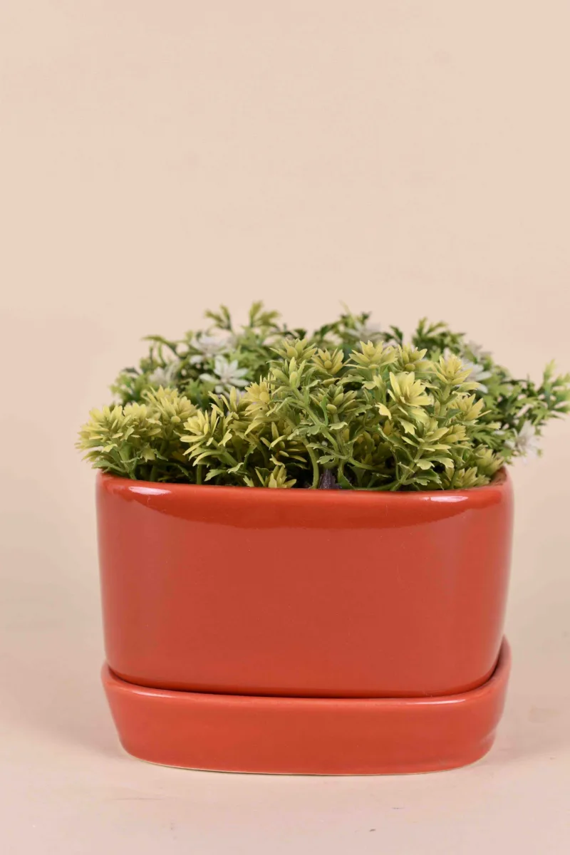 Classic Ceramic Planter — 4.5" Dia × 5" Height — Primary View