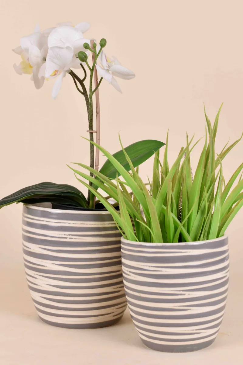 Classic Ceramic Planter — 4.5" Dia × 5" Height — Primary View