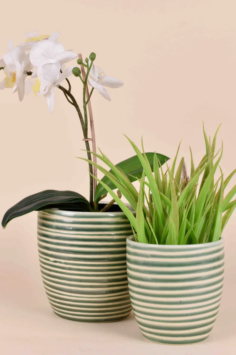 Classic Ceramic Planter — 4.5" Dia × 5" Height — Primary View