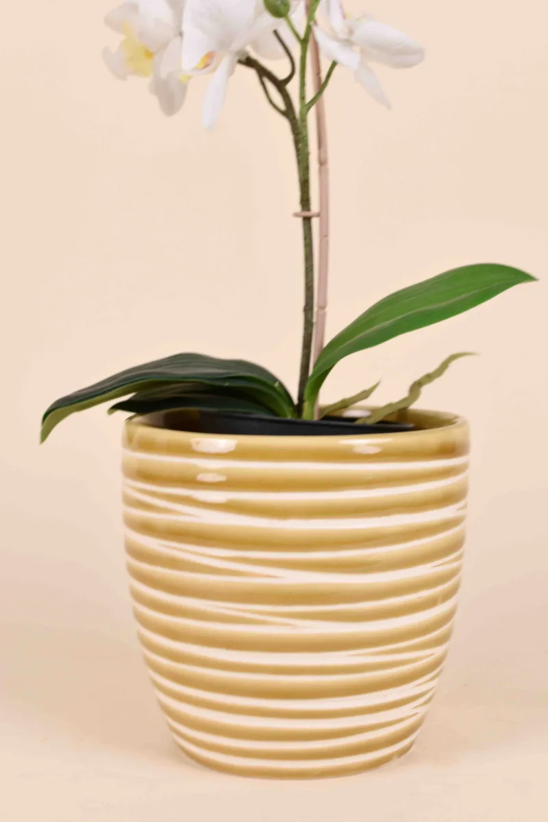 Classic Ceramic Planter — 5" Dia × 3.5" Height — Primary View