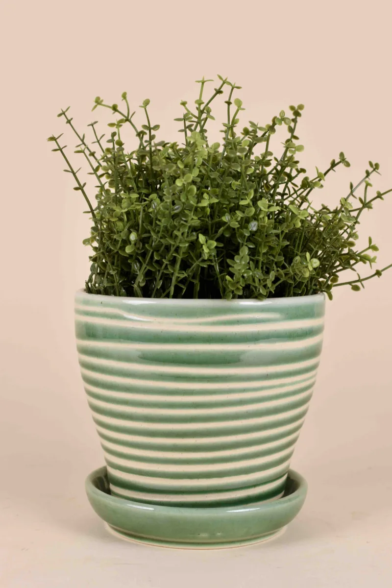 Classic Ceramic Planter Set of 2 (2" Dia) — Primary View