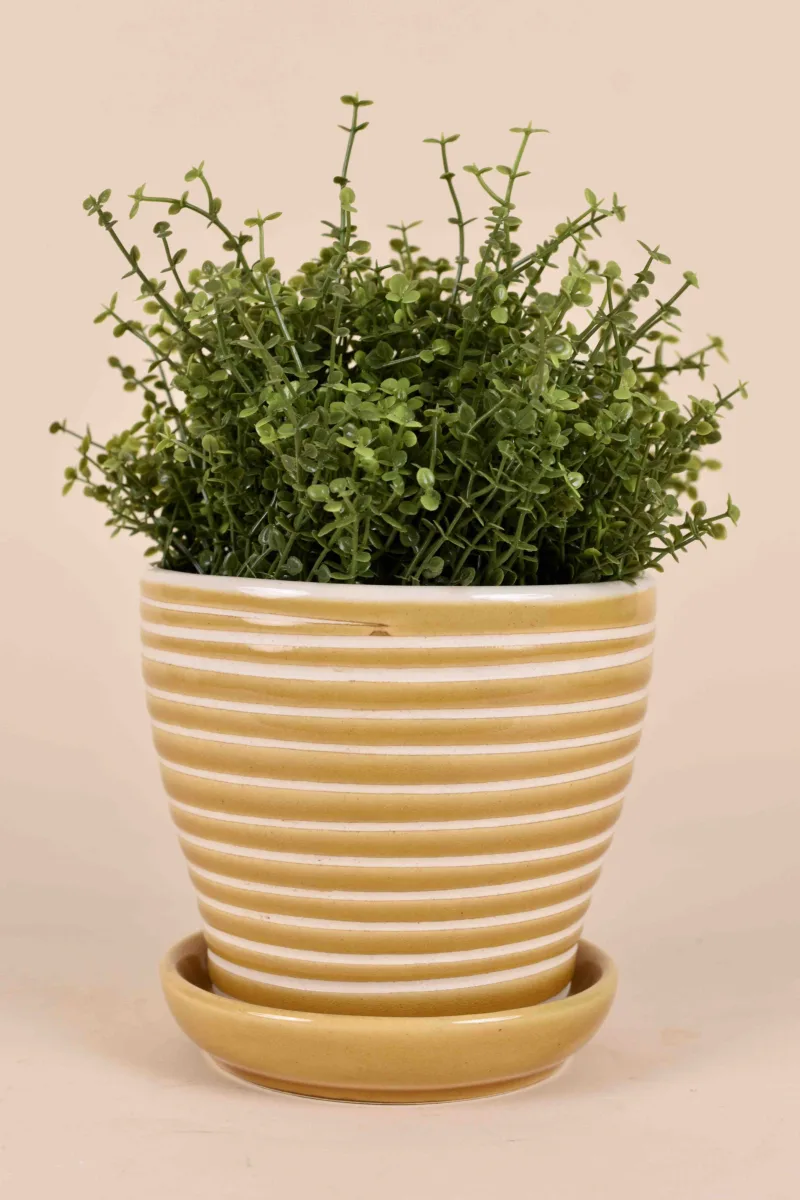 Classic Ceramic Planter Set of 2 (2" Dia) — Primary View