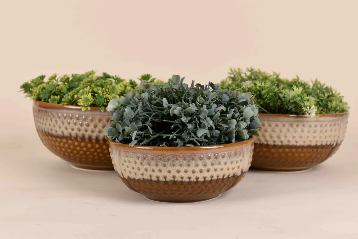 Classic Ceramic Planter — 5" Dia × 5" Height — Primary View