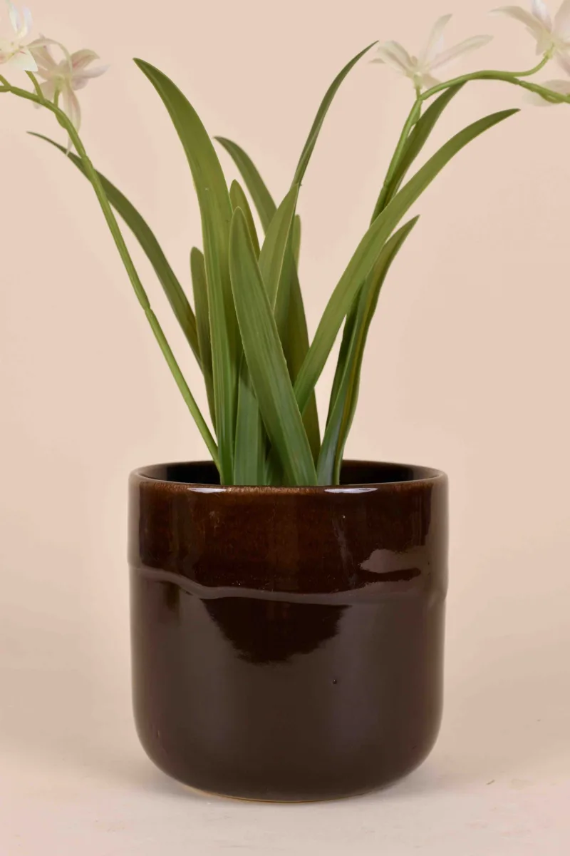 Classic Ceramic Planter — 5" Dia × 5" Height — Primary View