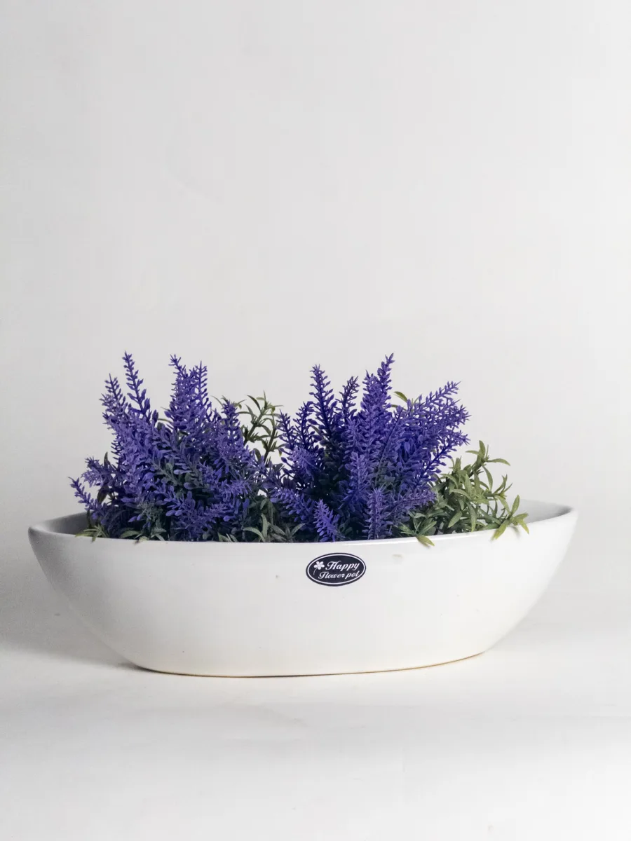 Classic Ceramic Planter — 6" Dia × 6" Height — Primary View