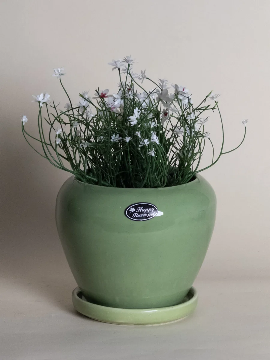Classic Ceramic Planter Set of 3 (3" Dia) — Primary View