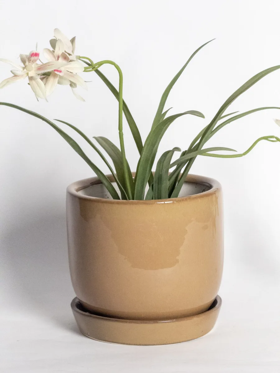 Classic Ceramic Planter — 9" Dia × 10" Height — Primary View
